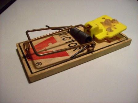 mouse-trap.jpg