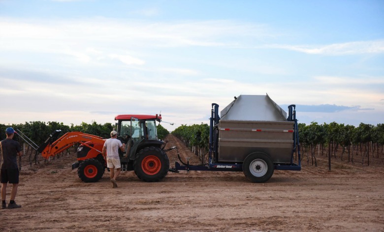 Oswald Vineyard Roussanne Harvest - Tractor and Dump Buggy