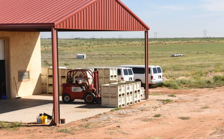 Oswald Vineyard Roussanne Harvest - Loading the Bins