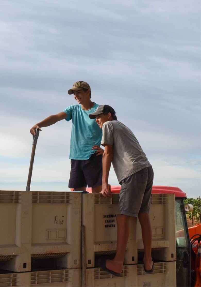 Albarino Harvest - Happy Helpers