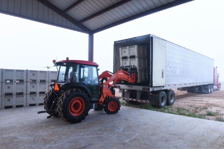 Montepulciano Harvest 2018 - Unloading the Refrigerated semi-truck 