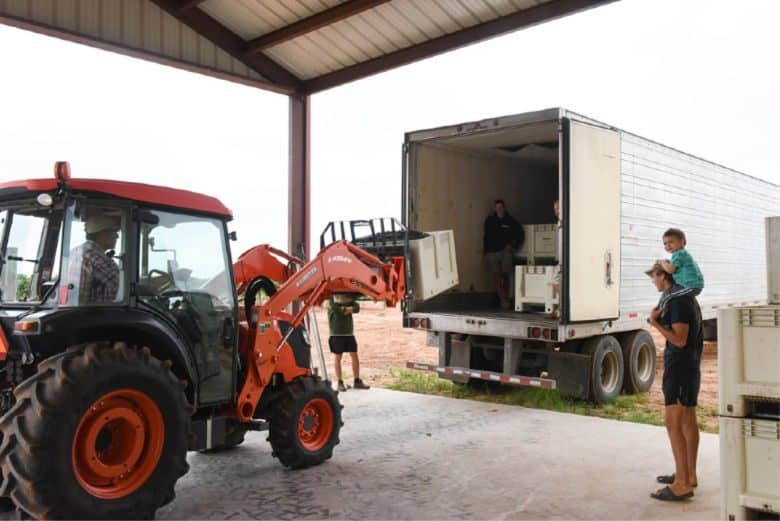 Montepulciano Harvest 2018 - Loading Full Bins onto Refrigerated Truck