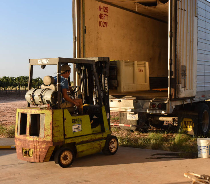 Loading the bins into the semi truck.