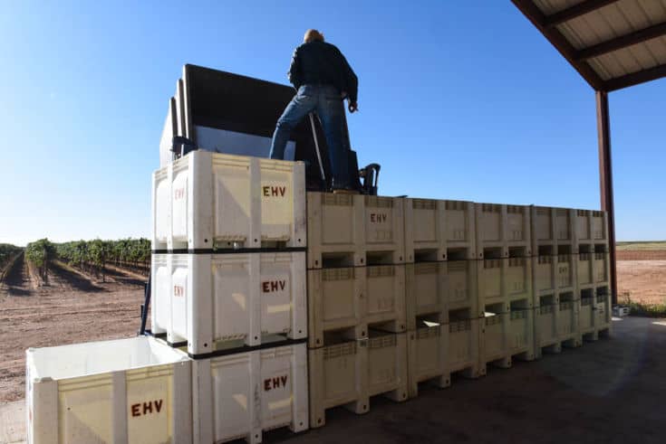 Triple stacked bins being loaded with grapes.