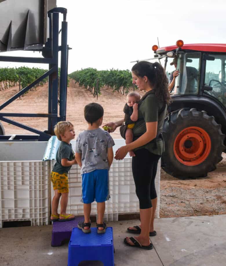 Mother feeding children grapes.