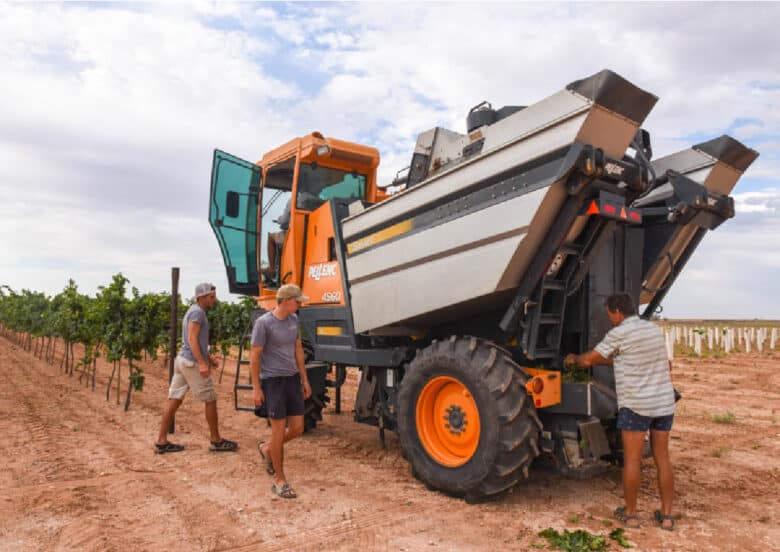 Roussanne Harvest 2020 - Pellenc in front of Roussanne.