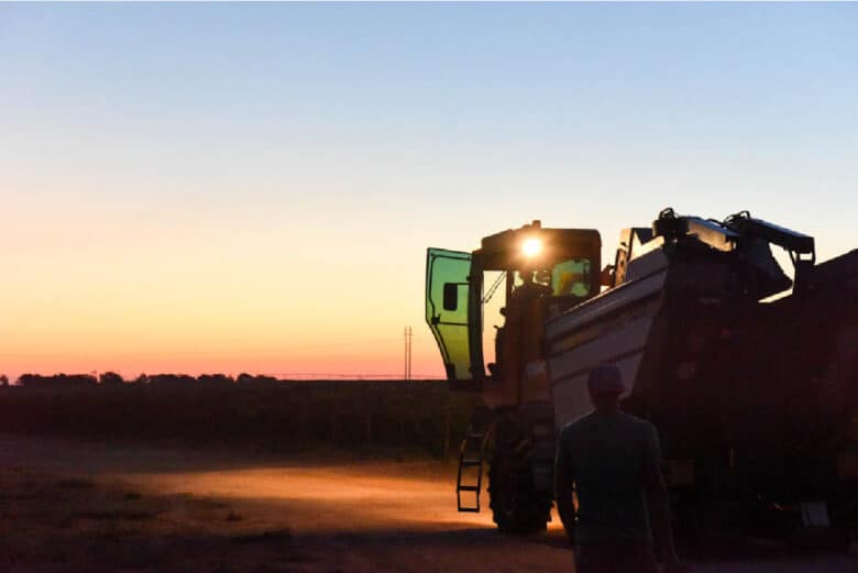 Montepulciano Harvest 2020 - Pellenc harvester in front of sunrise.