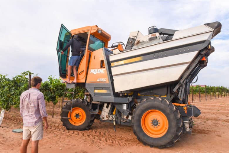 The guys getting the harvester ready to start down another row of Albarino.