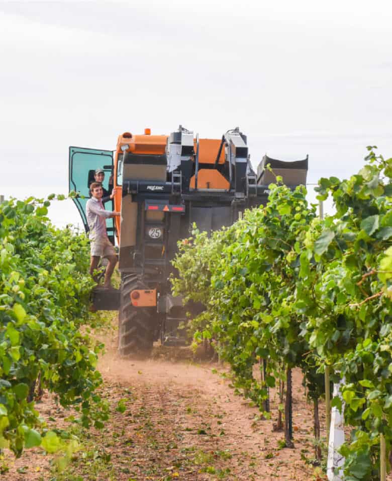 Albarino Harvest 2020 - The guys smiling on the harvester.