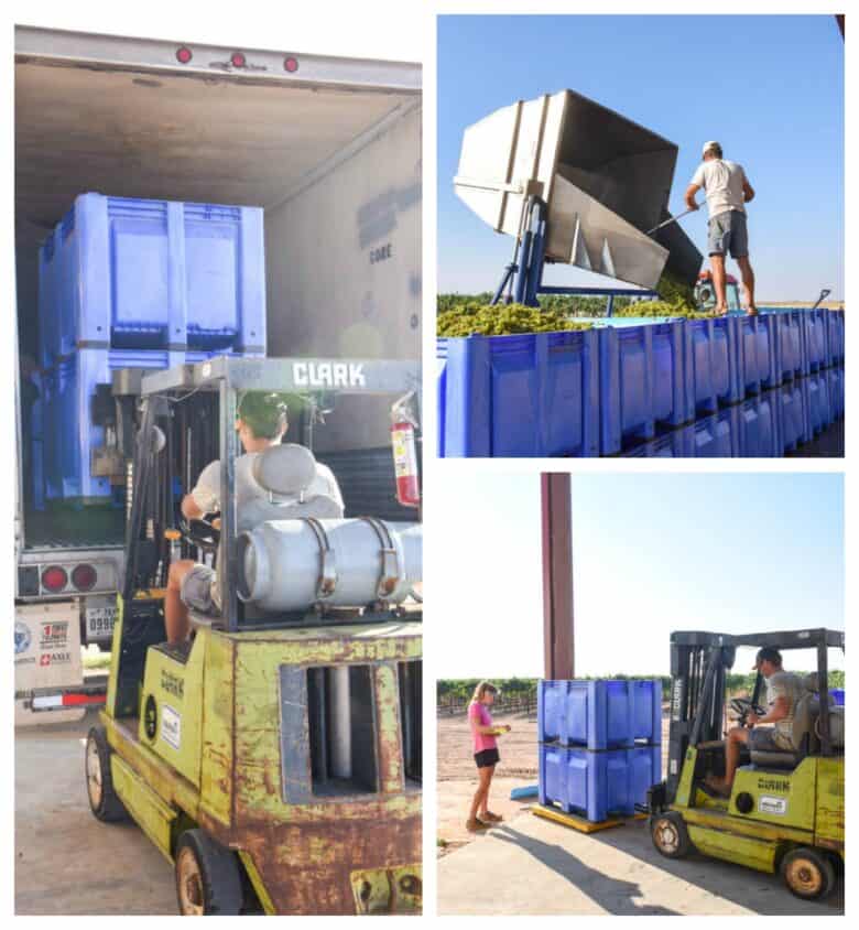 Collage pic, dumping, weighing and loading bins.