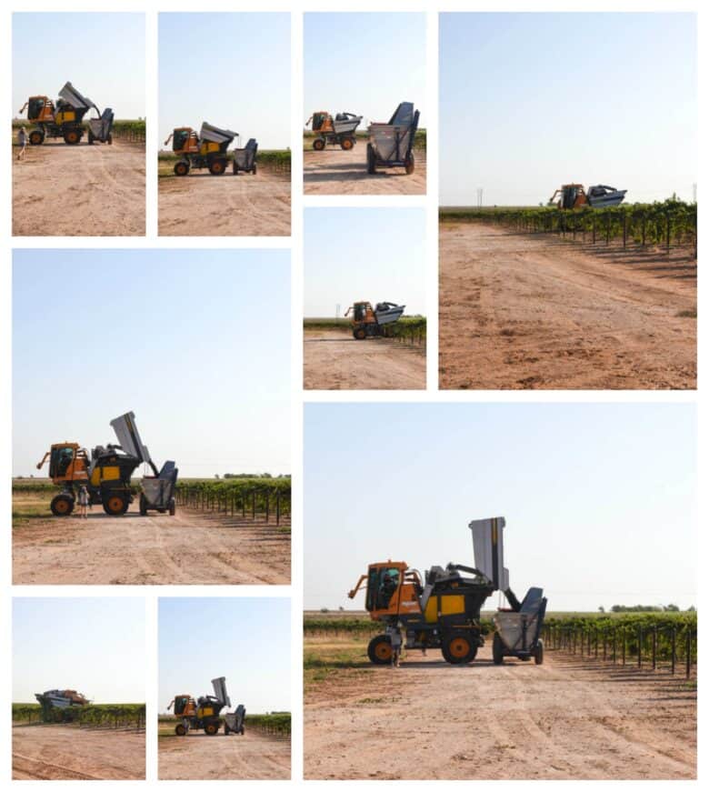 Aglianico Harvest 2020 - Collage of pictures; Pellenc harvester dumping into the dump buggy.