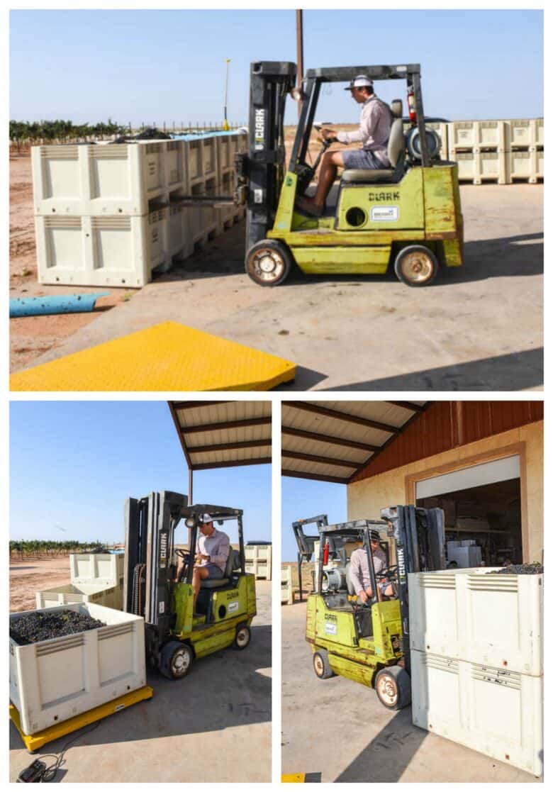 Aglianico Harvest 2020 - Collage of pictures; stacking, weighing and moving bins