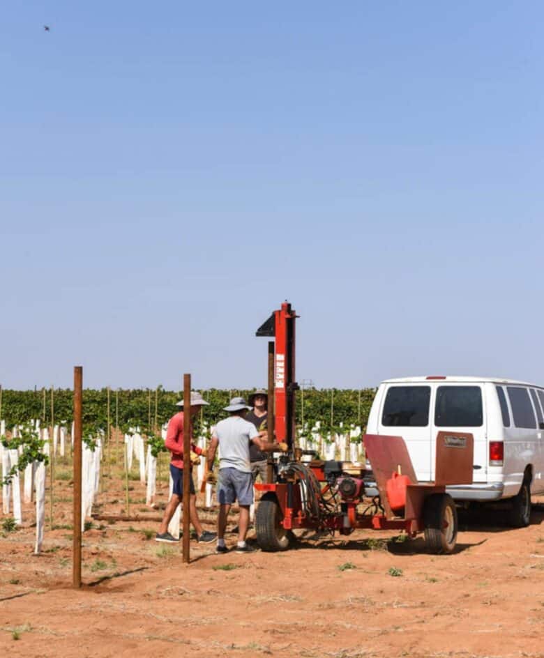 Vermentino Trellis - Putting in the end posts