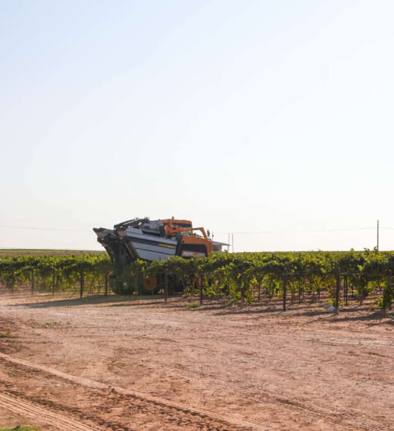 Pellenc Harvester beginning a row.