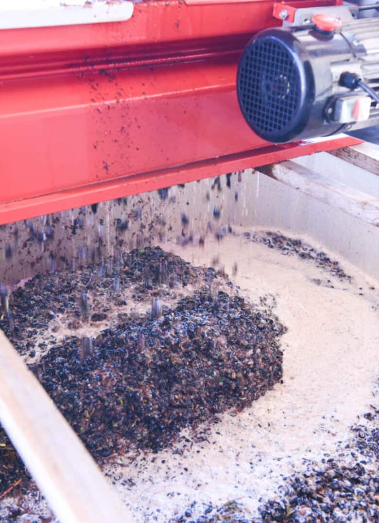 Aglianico Crush 2020 - Grapes falling out of the crusher into bin.