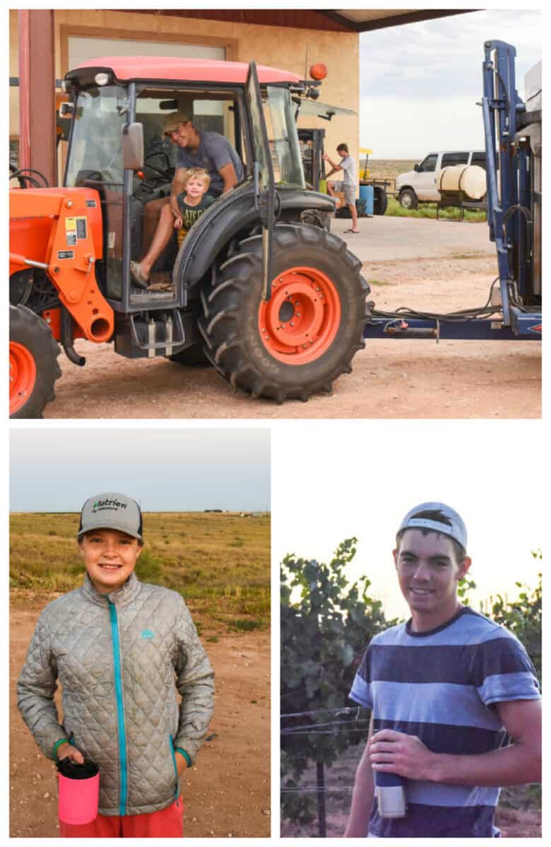 Montepulciano Harvest 2020 - Collage of vineyard workers