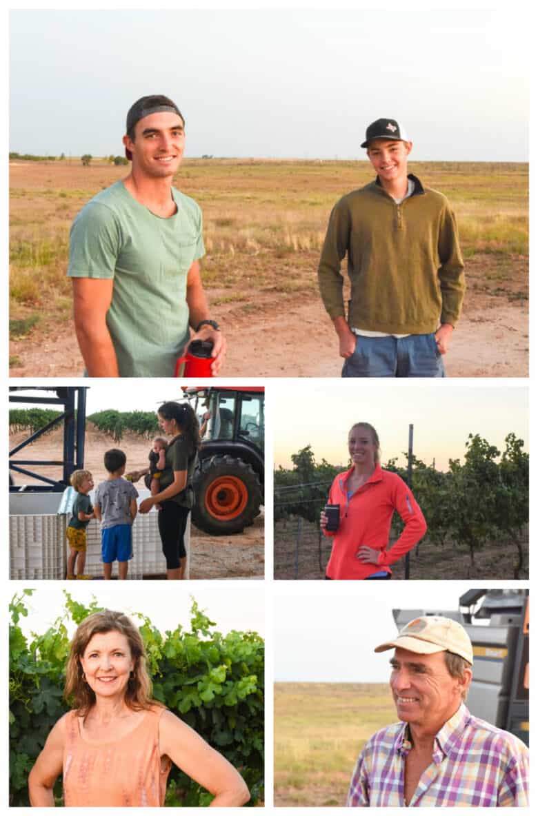 Montepulciano Harvest 2020 - Collage of vineyard workers