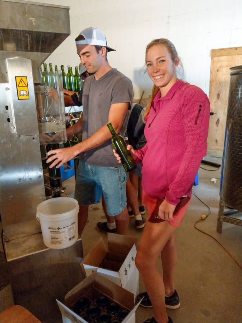 Bottling 2017 Vintage - happy workers at the corking station.
