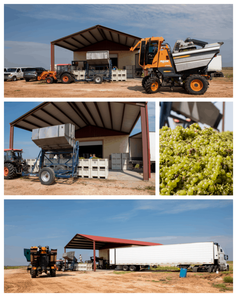 Roussanne and Albarino Harvest 2021 - Collage of pictures of harvest equipment at the barn.