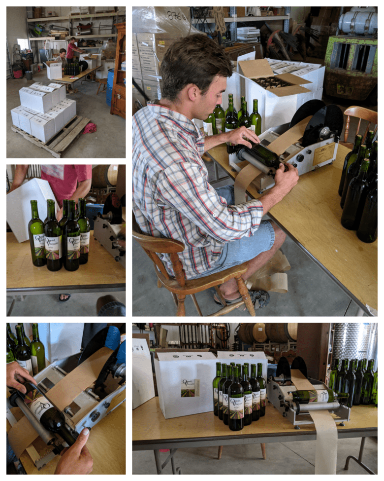 Bottling and Labeling Moscato 2019 - collage of pictures during labeling.