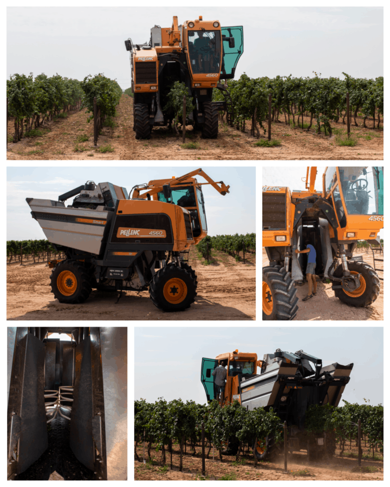 Roussanne and Albarino Harvest 2021 - Collage of pictures of the Pellenc harvester.