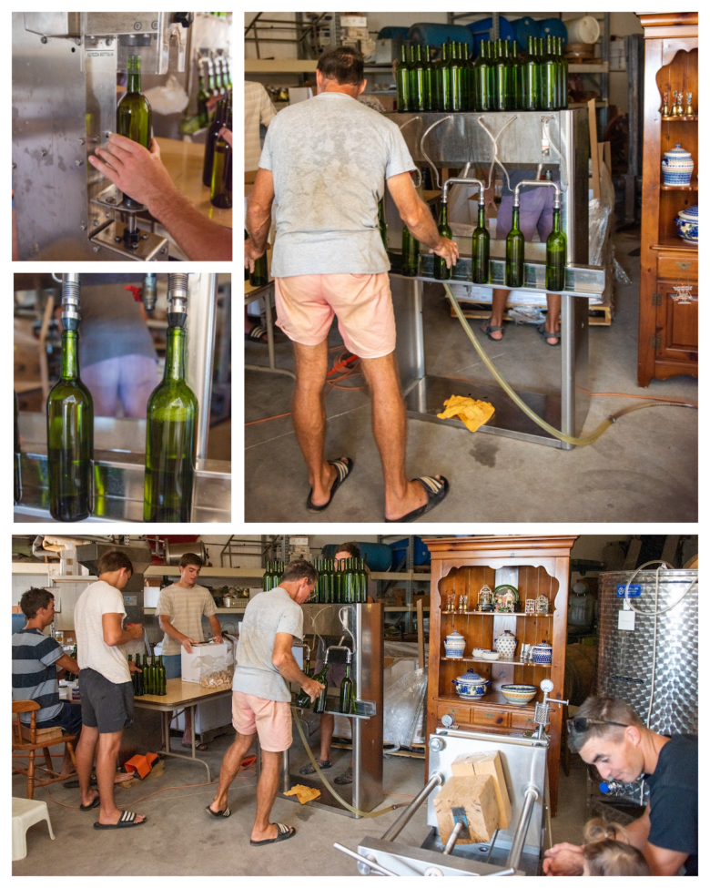 Bottling and Labeling Moscato 2019 - collage of pictures showing the bottling process.