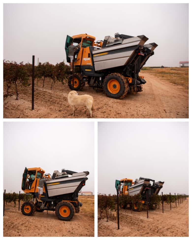 A collage of the harvester heading into a new row.