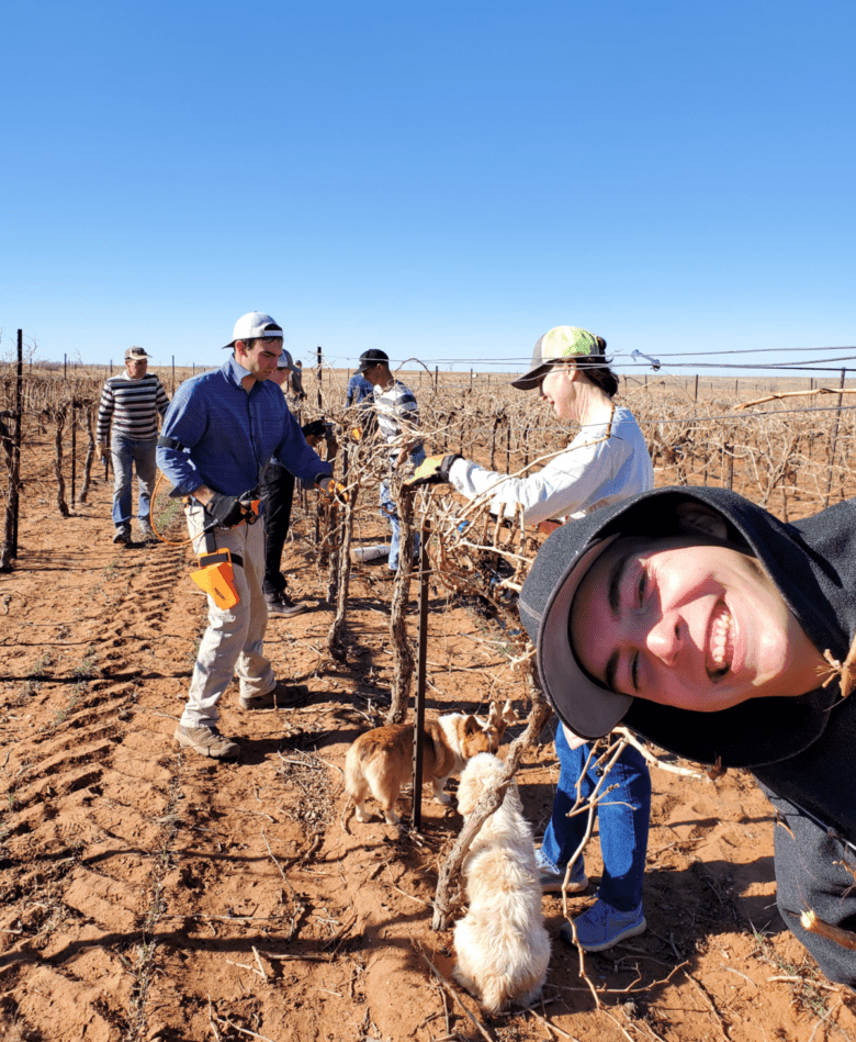 Pruning Time 2022 - Finish pruners