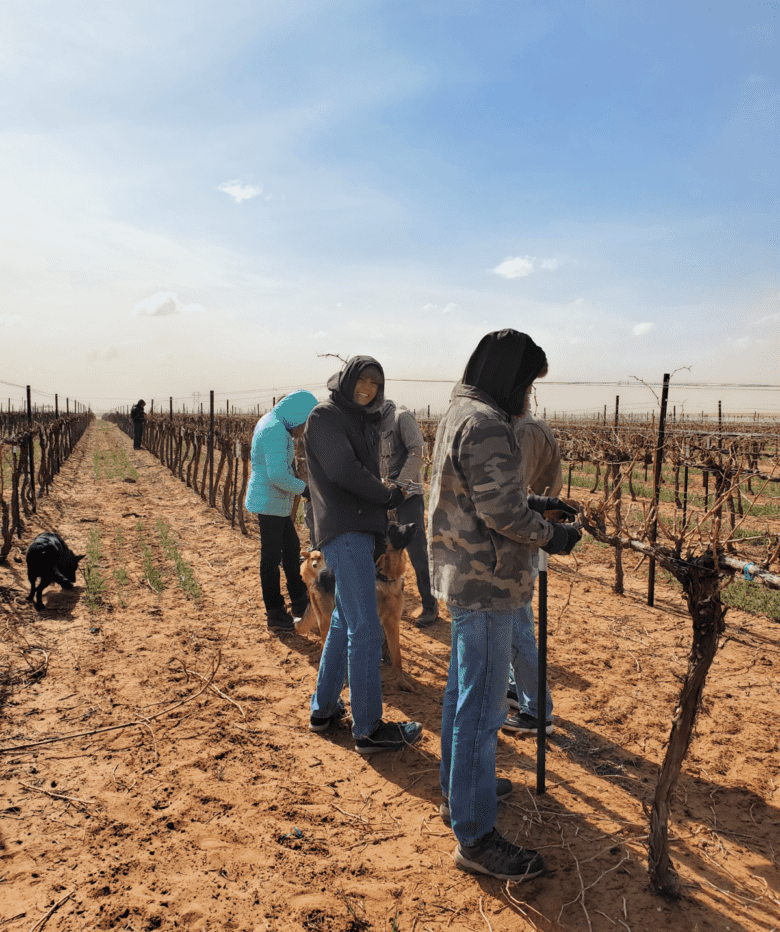 Pruning Time 2022 - Pruning in the cold.