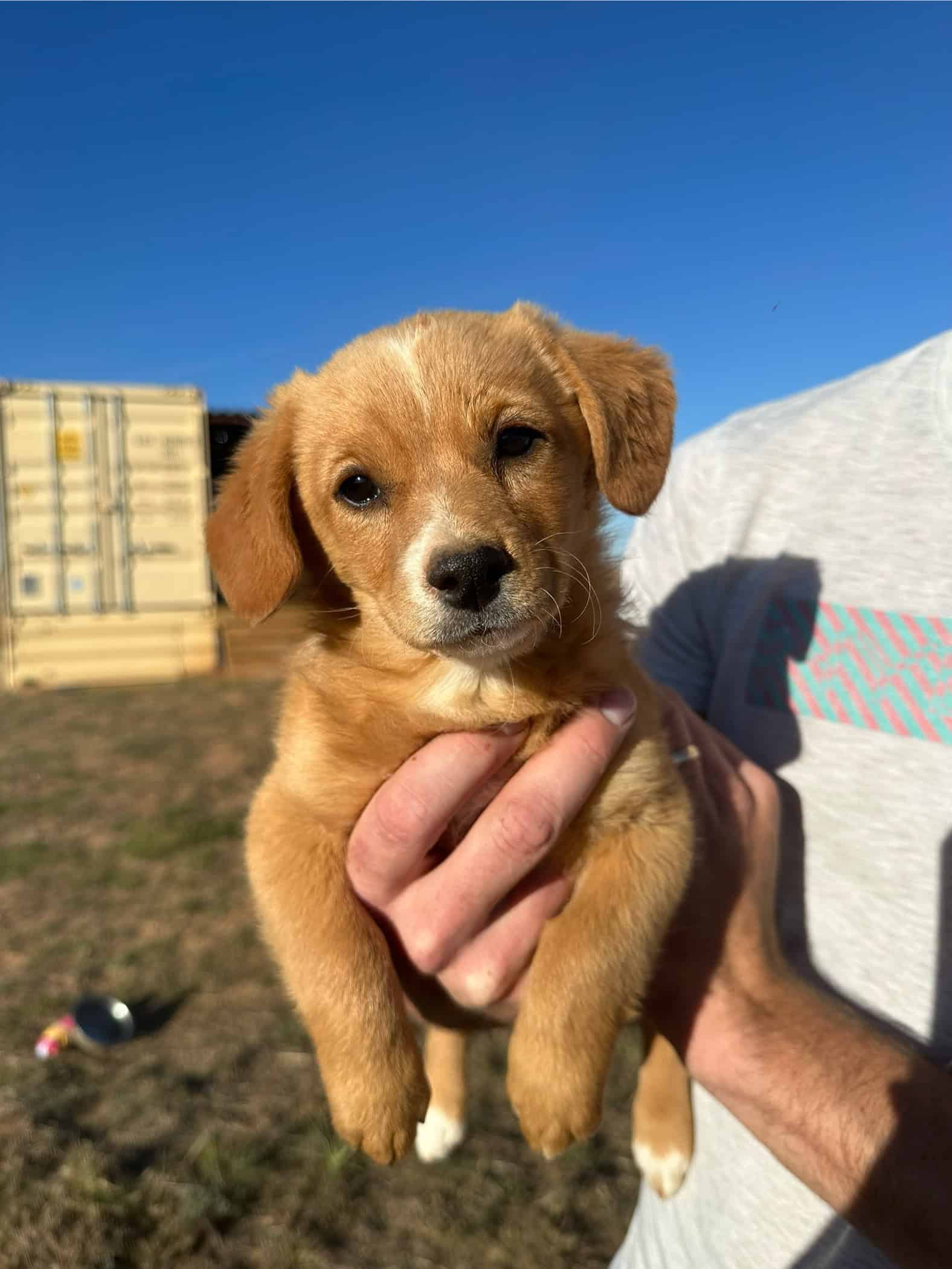 Pinterest Hidden Image